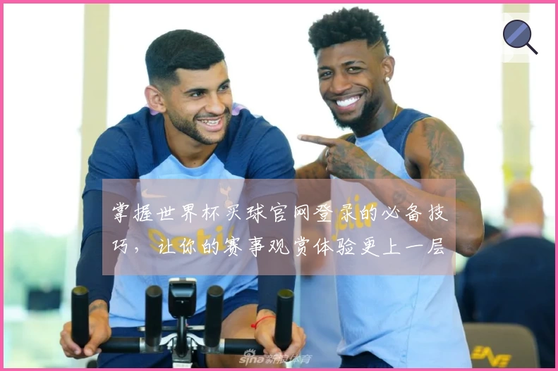 掌握世界杯买球官网登录的必备技巧，让你的赛事观赏体验更上一层楼