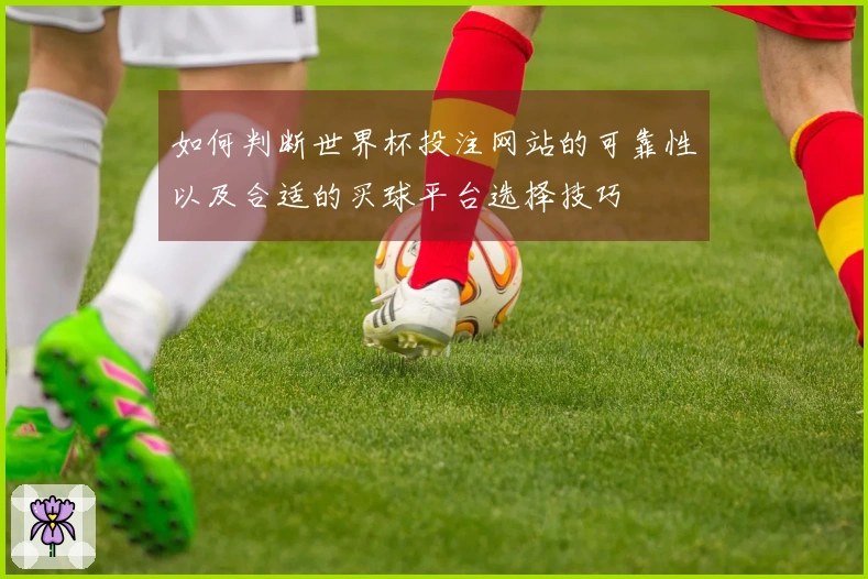 如何判断世界杯投注网站的可靠性以及合适的买球平台选择技巧