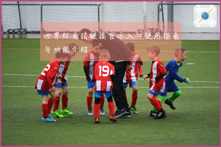 世界杯竞猜链接官方入口使用指南与功能介绍