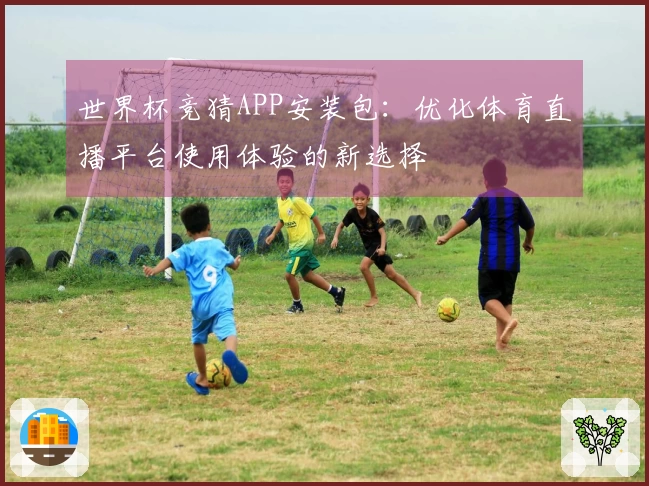 世界杯竞猜APP安装包：优化体育直播平台使用体验的新选择