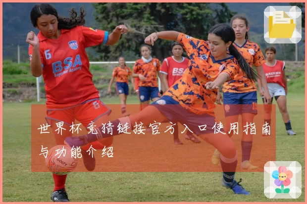 世界杯竞猜链接官方入口使用指南与功能介绍