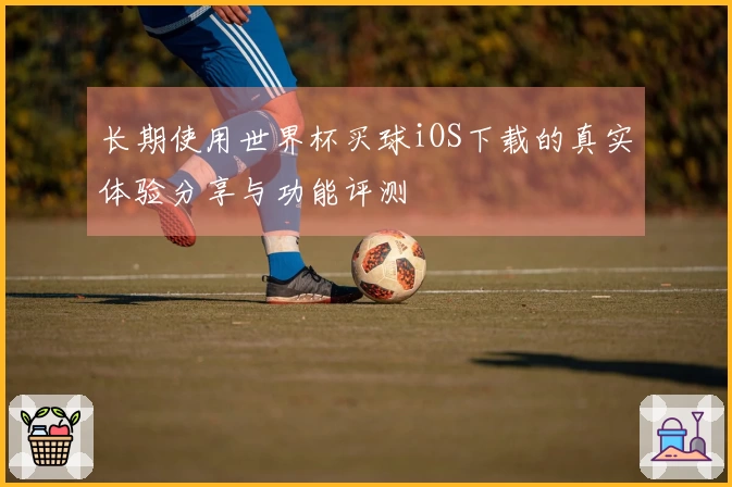 长期使用世界杯买球iOS下载的真实体验分享与功能评测