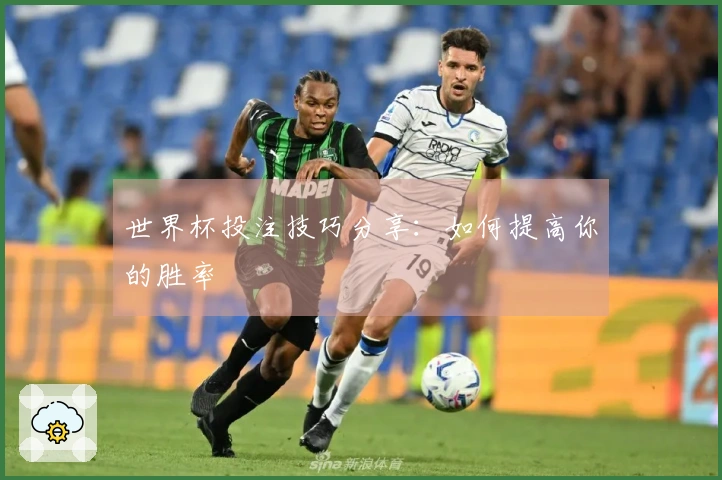 世界杯投注技巧分享：如何提高你的胜率