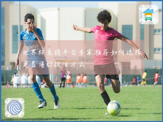 世界杯竞猜平台专家推荐如何选择更靠谱的投注方式