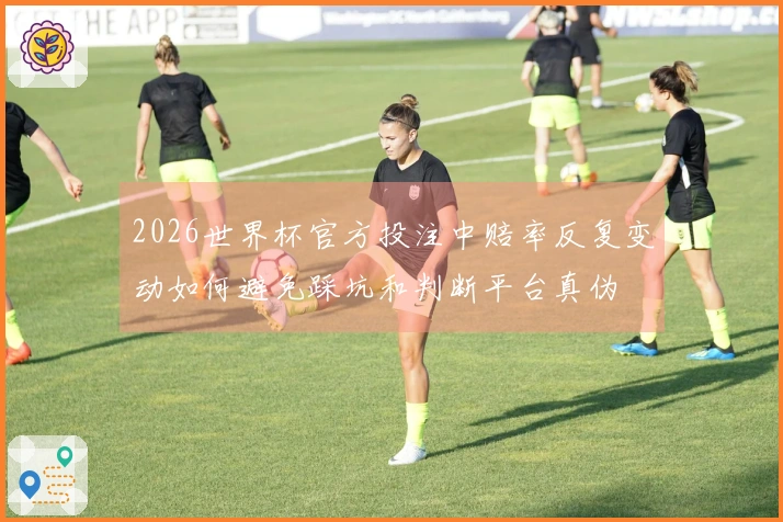 2026世界杯官方投注中赔率反复变动如何避免踩坑和判断平台真伪