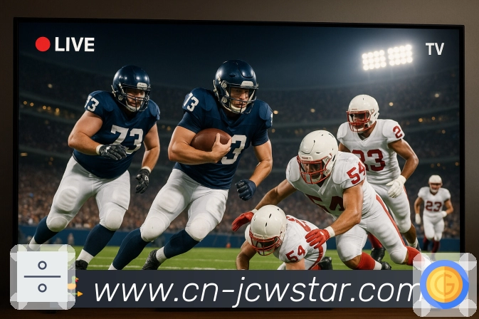 数据认证证书展示